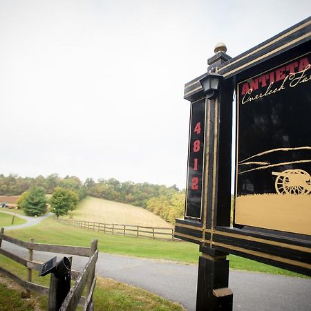 Antietam Overlook Farm Rohrersville Kültér fotó